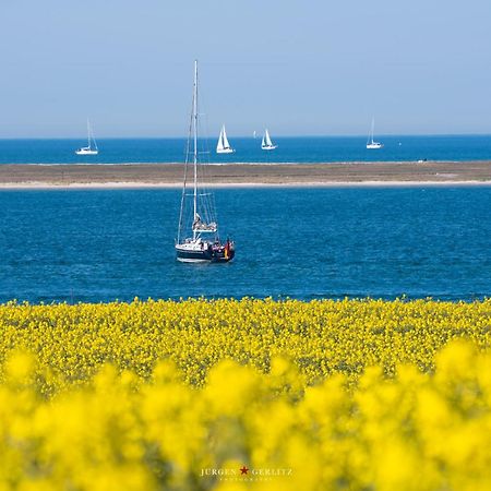 Urlaub Mit Ostseeblick, Schwimmbad, Sauna & Direkte Strandlage Kronsgaard Kültér fotó