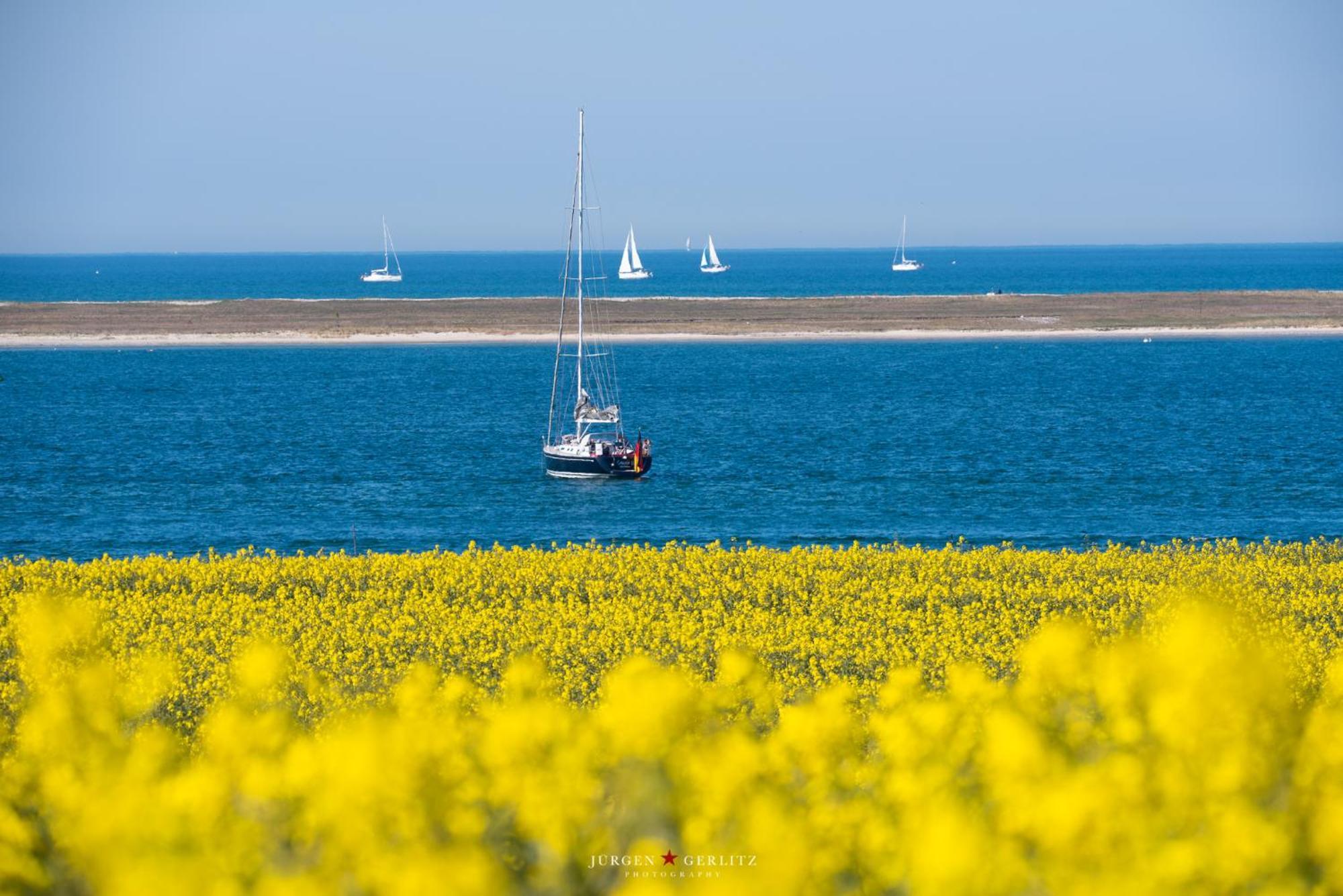 Urlaub Mit Ostseeblick, Schwimmbad, Sauna & Direkte Strandlage Kronsgaard Kültér fotó