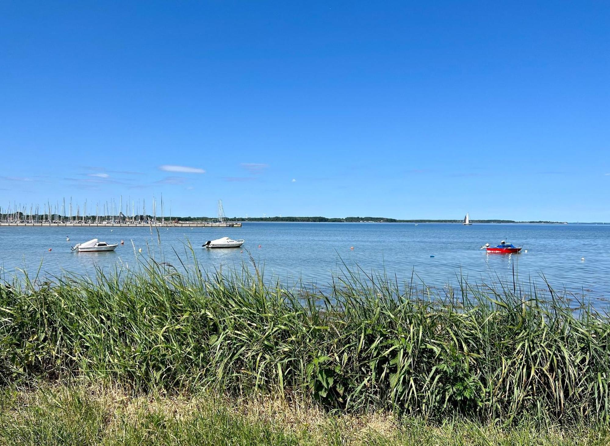 Urlaub Mit Ostseeblick, Schwimmbad, Sauna & Direkte Strandlage Kronsgaard Kültér fotó